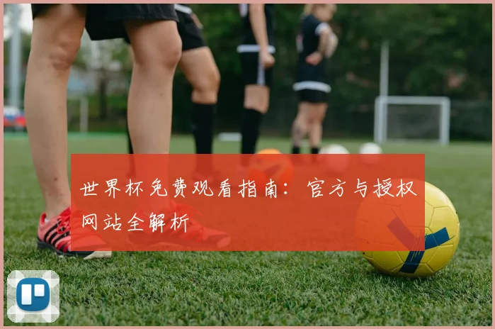 世界杯免费观看指南:官方与授权网站全解析