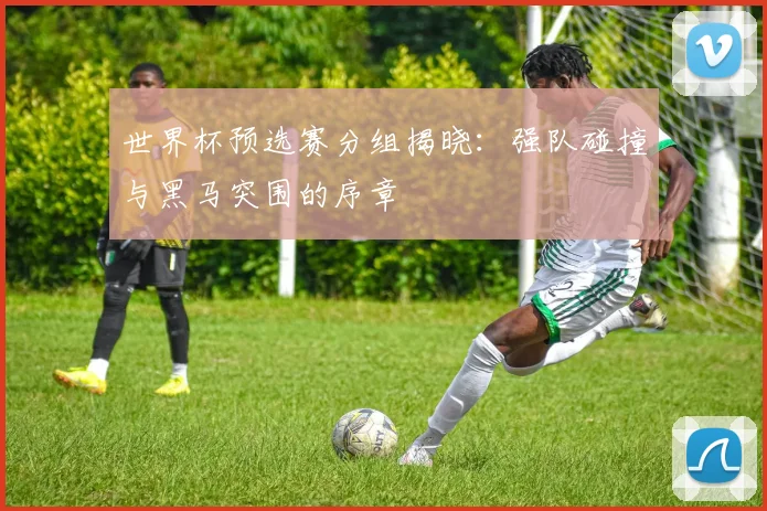 世界杯预选赛分组揭晓：强队碰撞与黑马突围的序章