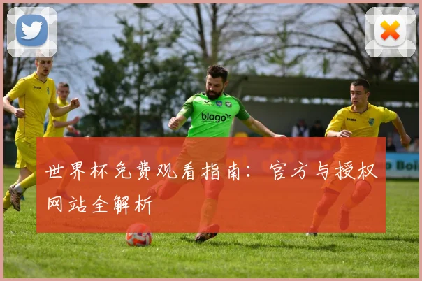 世界杯免费观看指南:官方与授权网站全解析
