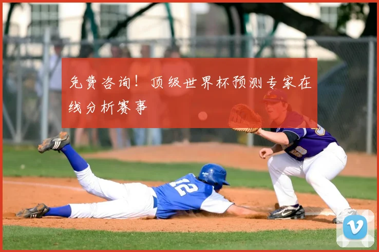 免费咨询!顶级世界杯预测专家在线分析赛事