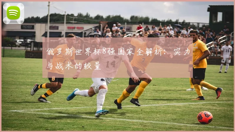 俄罗斯世界杯8强国家全解析:实力与战术的较量