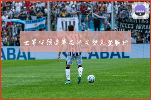 世界杯预选赛各洲名额完整解析