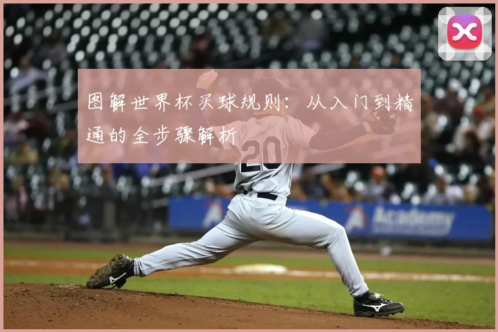 图解世界杯买球规则：从入门到精通的全步骤解析