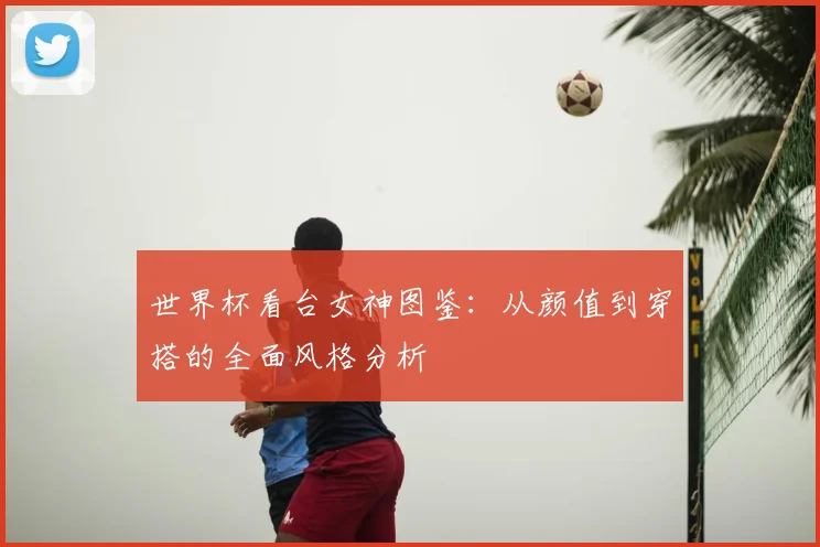 世界杯看台女神图鉴:从颜值到穿搭的全面风格分析