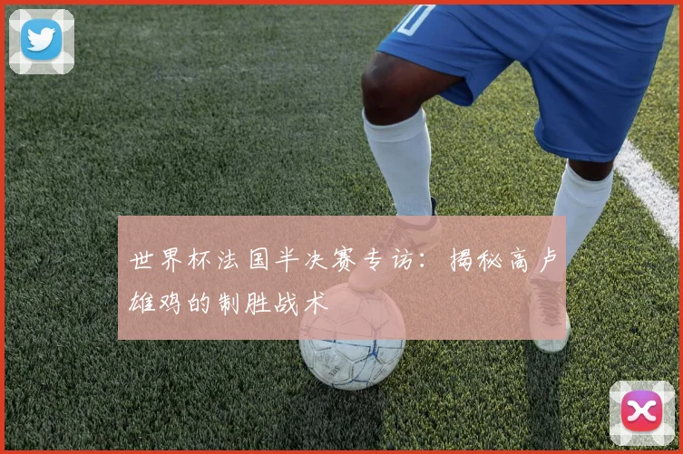 世界杯法国半决赛专访:揭秘高卢雄鸡的制胜战术