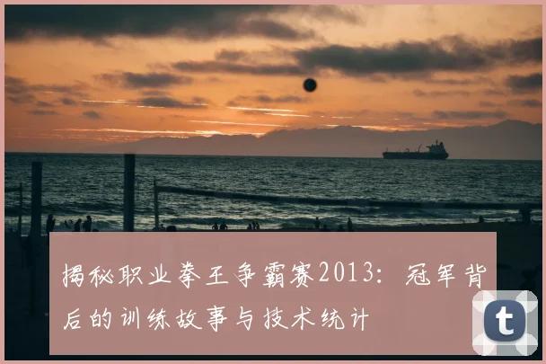 揭秘职业拳王争霸赛2013：冠军背后的训练故事与技术统计