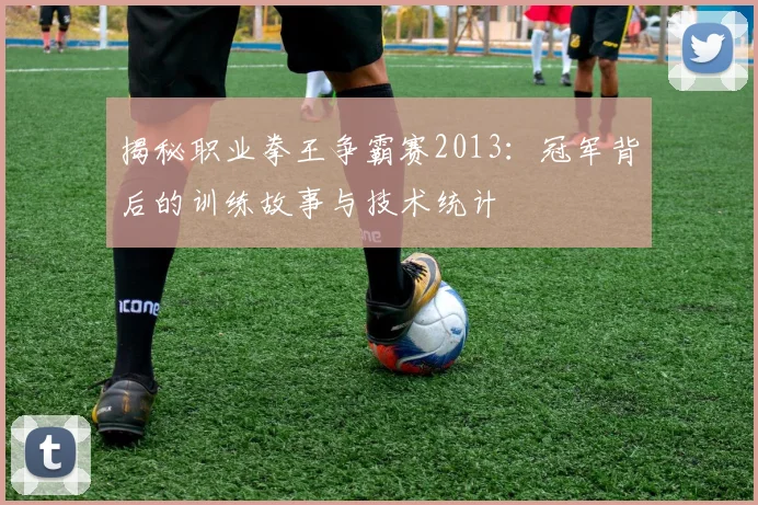 揭秘职业拳王争霸赛2013：冠军背后的训练故事与技术统计